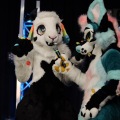Anthro Northwest 4 (2021)