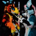 Anthro Northwest 4 (2021)