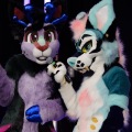 Anthro Northwest 4 (2021)