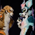Anthro Northwest 4 (2021)