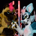 Anthro Northwest 4 (2021)