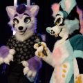 Anthro Northwest 4 (2021)