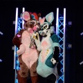 Anthro Northwest 4 (2021)