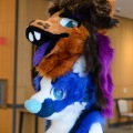 Anthro Northwest 4 (2021)