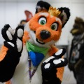 Anthro Northwest 4 (2021)