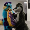 Anthro Northwest 4 (2021)