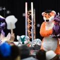 Anthro Northwest 4 (2021)