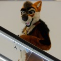 Anthro Northwest 4 (2021)