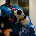 Anthro Northwest 4 (2021)