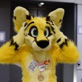Anthro Northwest 4 (2021)