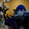 Anthro Northwest 4 (2021)