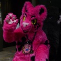 Anthro Northwest 4 (2021)