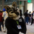 Anthro Northwest 4 (2021)