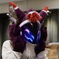 Anthro Northwest 4 (2021)