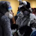 Anthro Northwest 4 (2021)