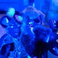 Anthro Northwest 4 (2021)