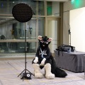 Anthro Northwest 4 (2021)