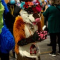 Anthro Northwest 5 (2023) Parade