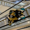 Anthro Northwest 5 (2023)