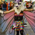 Anthro Northwest 6 (2024) Parade