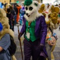 Anthro Northwest 6 (2024) Parade