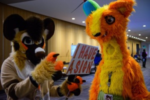 Anthro Northwest 6 (2024)