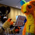 Anthro Northwest 6 (2024)