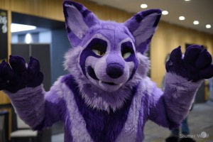 Anthro Northwest 7 (2025)