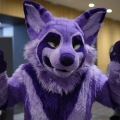 Anthro northwest 7 (2025)