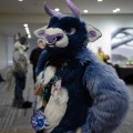 Anthro northwest 7 (2025)