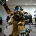 Anthro northwest 7 (2025)