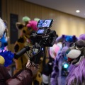 Anthro northwest 7 (2025)