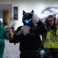 Anthro northwest 7 (2025)