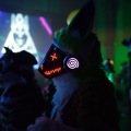 Anthro northwest 7 (2025)