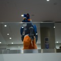 Anthro northwest 7 (2025)