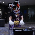 Anthro northwest 7 (2025)