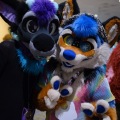Anthro northwest 7 (2025)