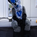 Anthro northwest 7 (2025)