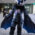 Anthro northwest 7 (2025)