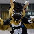 Anthro northwest 7 (2025)