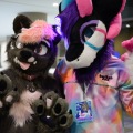 Anthro northwest 7 (2025)