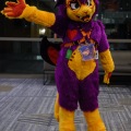 Anthro northwest 7 (2025)