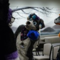 Anthro northwest 7 (2025)