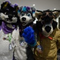 Anthro northwest 7 (2025)