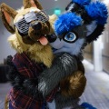 Anthro northwest 7 (2025)
