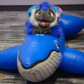 Anthro northwest 7 (2025)
