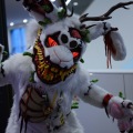 Anthro northwest 7 (2025)