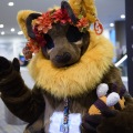 Anthro northwest 7 (2025)