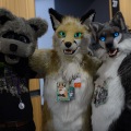 Anthro northwest 7 (2025)