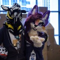 Anthro northwest 7 (2025)